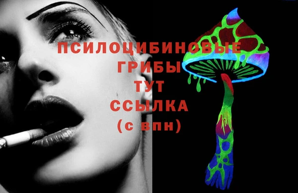 spice Волосово