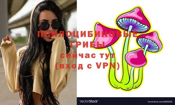 соль ск Володарск